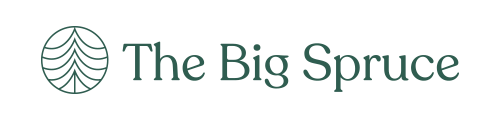 The Big Spruce